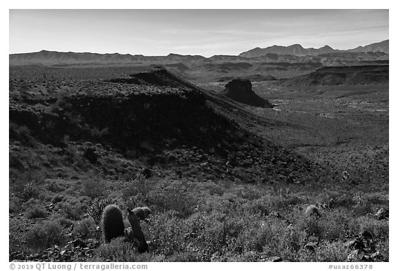 Mojave Desert landscape. Grand Canyon-Parashant National Monument, Arizona, USA (black and white)