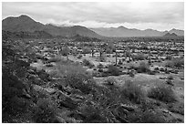 Margies Cove, North Maricopa Mountains. Sonoran Desert National Monument, Arizona, USA ( black and white)