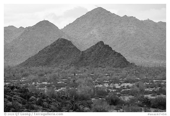 North Maricopa Mountains. Sonoran Desert National Monument, Arizona, USA (black and white)