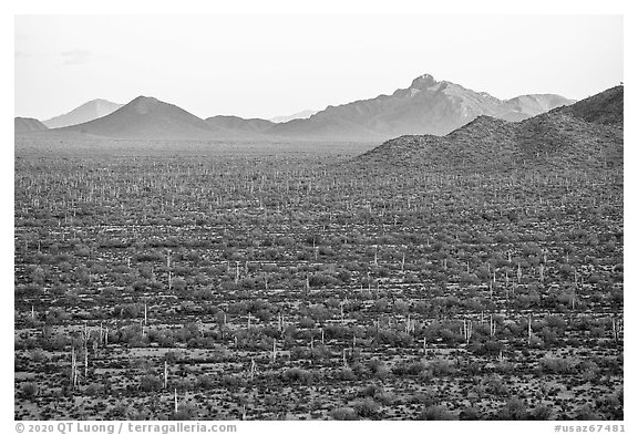 Vekol Valley and Vekol Mountains at sunset. Sonoran Desert National Monument, Arizona, USA (black and white)