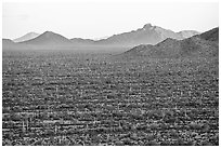 Vekol Valley and Vekol Mountains at sunset. Sonoran Desert National Monument, Arizona, USA ( black and white)