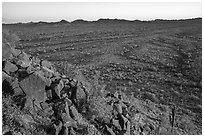 Vekol Valley from Lost Horse Peak at sunset. Sonoran Desert National Monument, Arizona, USA ( black and white)