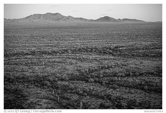 Vekol Valley and Table Top Mountain at dusk. Sonoran Desert National Monument, Arizona, USA (black and white)