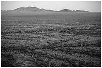 Vekol Valley and Table Top Mountain at dusk. Sonoran Desert National Monument, Arizona, USA ( black and white)
