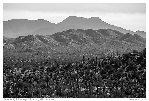 Table Top Mountains. Sonoran Desert National Monument, Arizona, USA