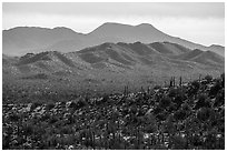 Table Top Mountains. Sonoran Desert National Monument, Arizona, USA ( black and white)