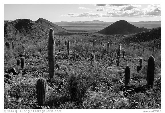 Distant Vekol Valley from Table Top Mountain. Sonoran Desert National Monument, Arizona, USA