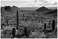 Distant Vekol Valley from Table Top Mountain. Sonoran Desert National Monument, Arizona, USA ( black and white)