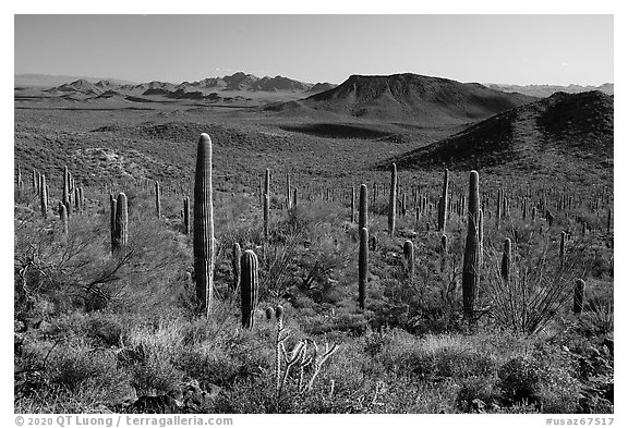 Vekol Mountains from Table Top Mountain. Sonoran Desert National Monument, Arizona, USA