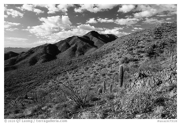Black Mountain from Table Top Mountain. Sonoran Desert National Monument, Arizona, USA