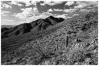 Black Mountain from Table Top Mountain. Sonoran Desert National Monument, Arizona, USA ( black and white)