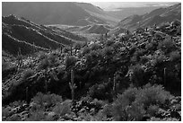 Ridge, Table Top Mountain Wilderness. Sonoran Desert National Monument, Arizona, USA ( black and white)
