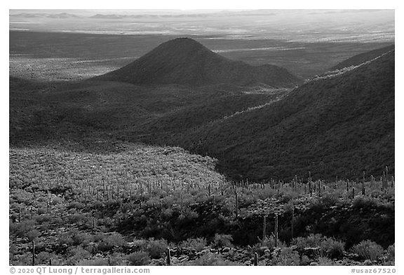 Table Mountain slopes and Vekol Valley. Sonoran Desert National Monument, Arizona, USA