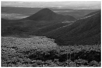 Table Mountain slopes and Vekol Valley. Sonoran Desert National Monument, Arizona, USA ( black and white)