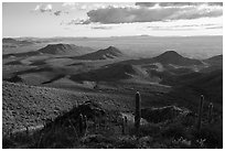 Cactus high on Table Mountain and distant Vekol Valley. Sonoran Desert National Monument, Arizona, USA ( black and white)