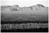 Sand Tank Mountains at sunrise above Vekol Valley. Sonoran Desert National Monument, Arizona, USA ( black and white)