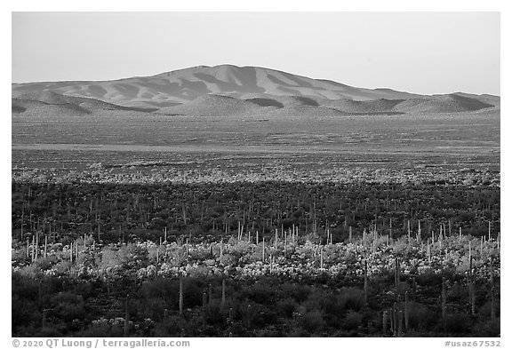 Shadows over Vekol Valley and Sand Tank Mountains. Sonoran Desert National Monument, Arizona, USA (black and white)