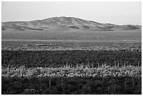 Shadows over Vekol Valley and Sand Tank Mountains. Sonoran Desert National Monument, Arizona, USA ( black and white)