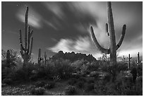 Cactus and Ragged top in moonlight. Ironwood Forest National Monument, Arizona, USA ( black and white)
