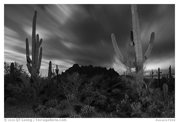 Cactus and Ragged top with moving clouds at night. Ironwood Forest National Monument, Arizona, USA