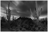 Cactus and Ragged top with moving clouds at night. Ironwood Forest National Monument, Arizona, USA ( black and white)