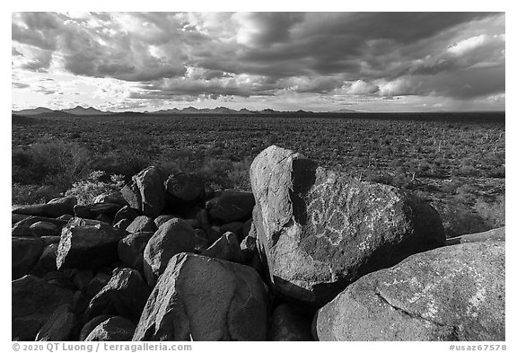 Cocoraque Butte Archeological District. Ironwood Forest National Monument, Arizona, USA (black and white)