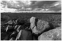 Cocoraque Butte Archeological District. Ironwood Forest National Monument, Arizona, USA ( black and white)