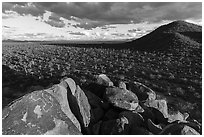 Hohokam petroglyphs and plain with Saguaro, Cocoraque Butte. Ironwood Forest National Monument, Arizona, USA ( black and white)