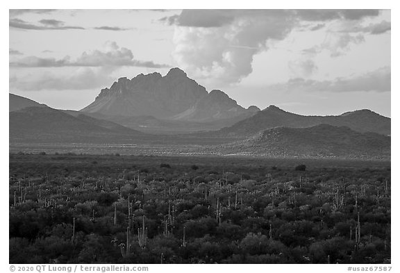 Desert plains with Ragged Top in the distance at sunset. Ironwood Forest National Monument, Arizona, USA