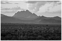 Desert plains with Ragged Top in the distance at sunset. Ironwood Forest National Monument, Arizona, USA ( black and white)