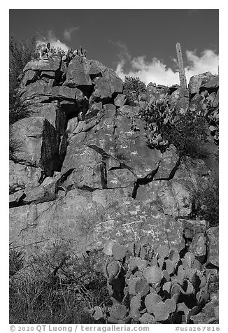 Rock art site, Badger Springs Canyon. Agua Fria National Monument, Arizona, USA