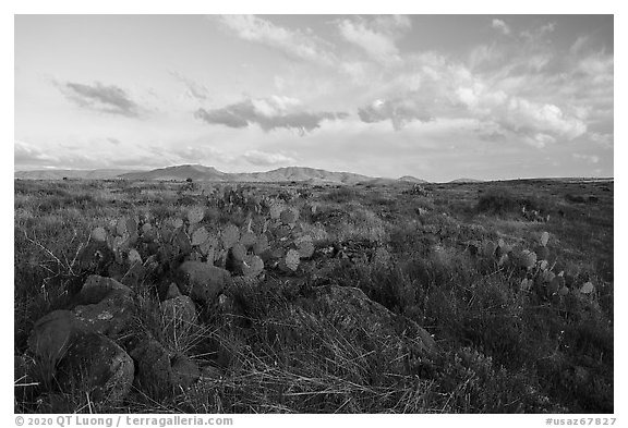 Flats with rock and cacti. Agua Fria National Monument, Arizona, USA