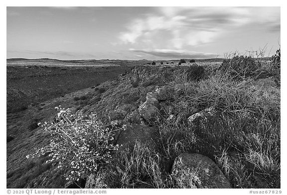 Silver Creek Canyon rim. Agua Fria National Monument, Arizona, USA (black and white)