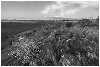 Silver Creek Canyon rim. Agua Fria National Monument, Arizona, USA ( black and white)