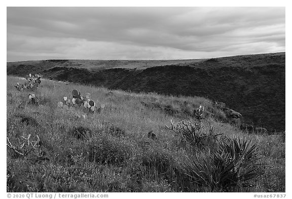 Grassy flats and canyon. Agua Fria National Monument, Arizona, USA (black and white)