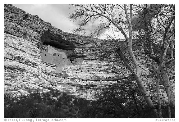 Limestone cliff with Sinagua dwelling, Montezuma Castle National Monument. Arizona, USA (black and white)