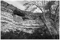 Limestone cliff with Sinagua dwelling, Montezuma Castle National Monument. Arizona, USA ( black and white)