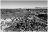 Aerial view of Pakoon Springs. Grand Canyon-Parashant National Monument, Arizona, USA ( black and white)