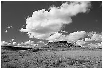 Citadel Sink. Wupatki National Monument, Arizona, USA ( black and white)