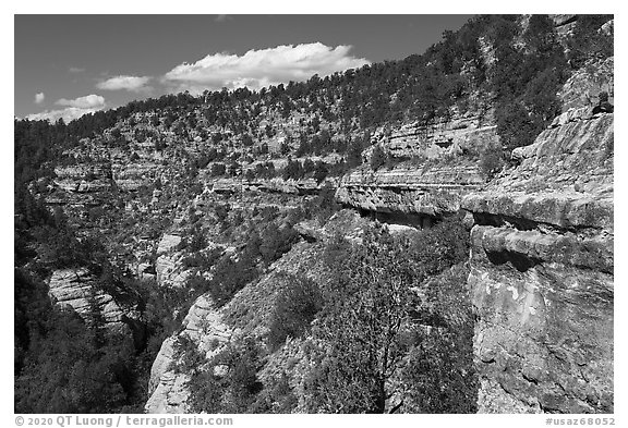 Kaibab Limestone cliffs, Walnut Canyon National Monument. Arizona, USA (black and white)