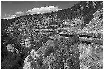 Kaibab Limestone cliffs, Walnut Canyon National Monument. Arizona, USA ( black and white)