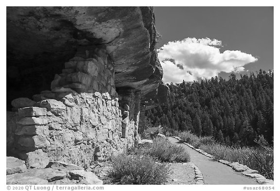 Cliffs dwellings and trail, Walnut Canyon National Monument. Arizona, USA (black and white)