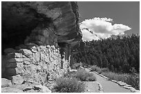 Cliffs dwellings and trail, Walnut Canyon National Monument. Arizona, USA ( black and white)