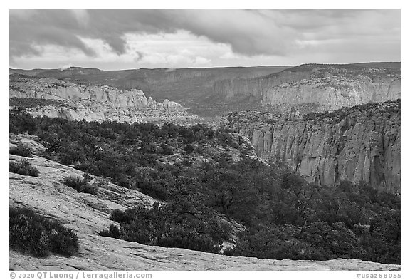 Distant cliffs, Tsegi Canyon system. Navajo National Monument, Arizona, USA