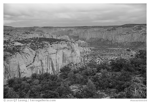 Tsegi Canyon system at dusk. Navajo National Monument, Arizona, USA (black and white)