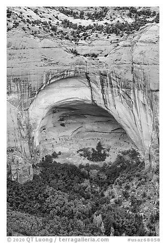 Betatakin ruins in large alcove. Navajo National Monument, Arizona, USA (black and white)