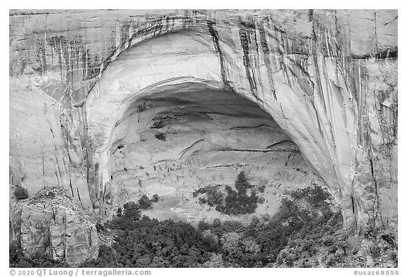 Sandstone alcove with Betatakin Anasazi ruins. Navajo National Monument, Arizona, USA (black and white)