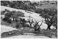 Along Sandal Trail. Navajo National Monument, Arizona, USA ( black and white)