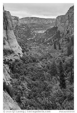 Betatakin Canyon in early autumn. Navajo National Monument, Arizona, USA (black and white)