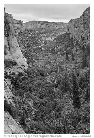 Betatakin Canyon in early autumn. Navajo National Monument, Arizona, USA (black and white)